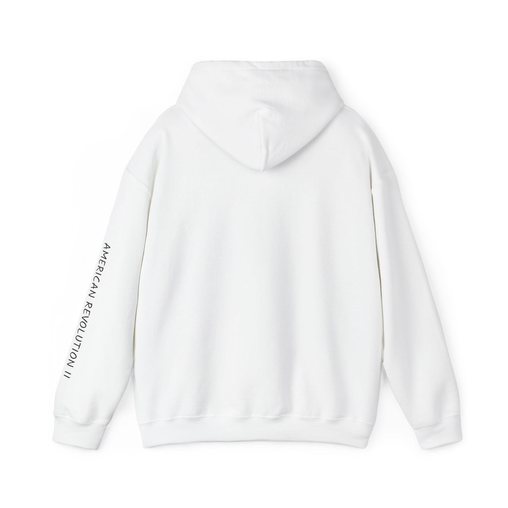 America in Distress Hoodie — Patriotic Eagle Flag Sweatshirt ("American Revolution")