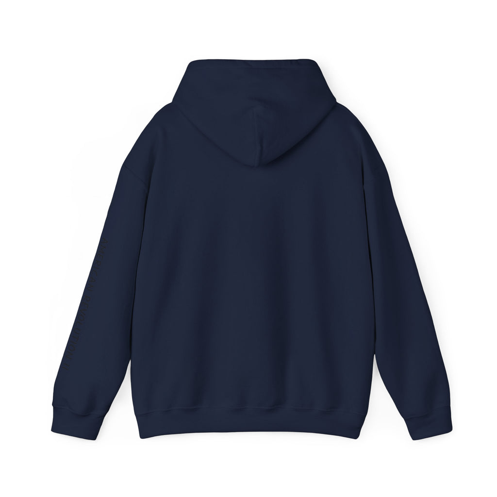 America in Distress Hoodie — Patriotic Eagle Flag Sweatshirt ("American Revolution")