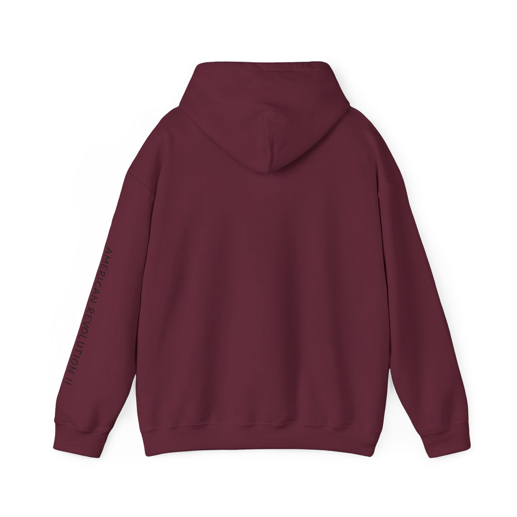 America in Distress Hoodie — Patriotic Eagle Flag Sweatshirt ("American Revolution")