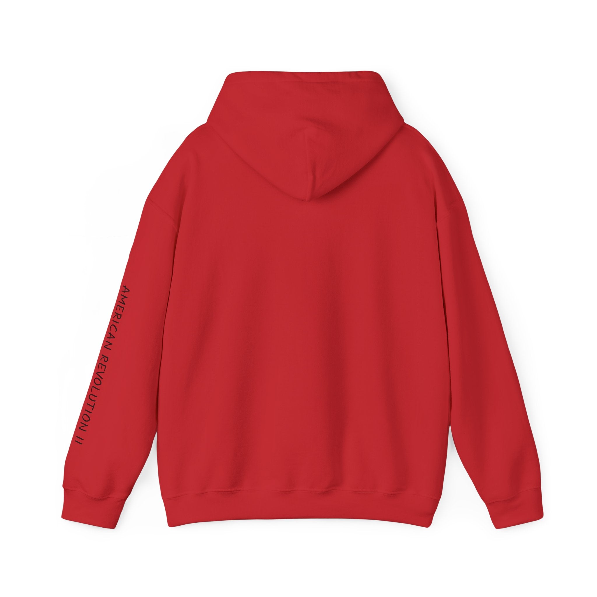 America in Distress Hoodie — Patriotic Eagle Flag Sweatshirt ("American Revolution")