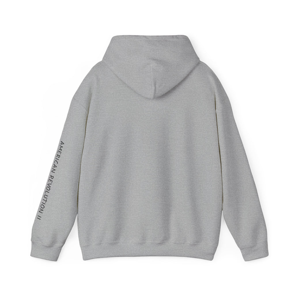 America in Distress Hoodie — Patriotic Eagle Flag Sweatshirt ("American Revolution")